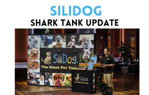 silidog net worth|SiliDog Update After Shark Tank: Pawsome Success for Pet ID。